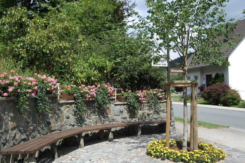 Apartamento Haus Mittelberg Olsberg Exterior foto