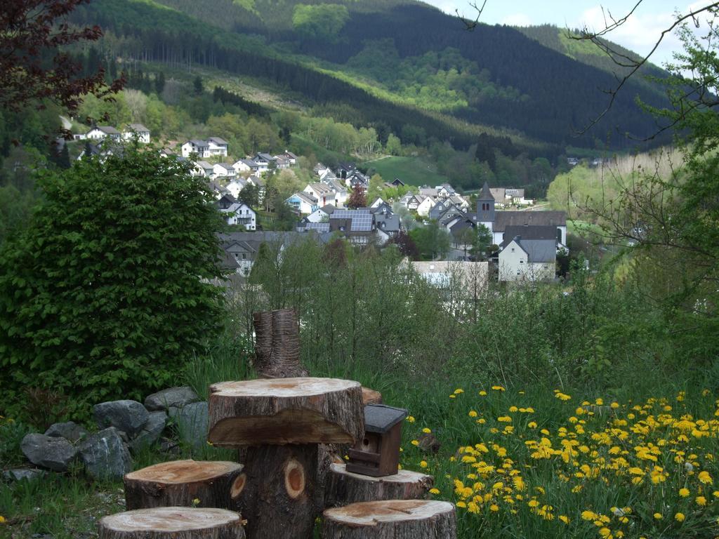 Apartamento Haus Mittelberg Olsberg Habitación foto